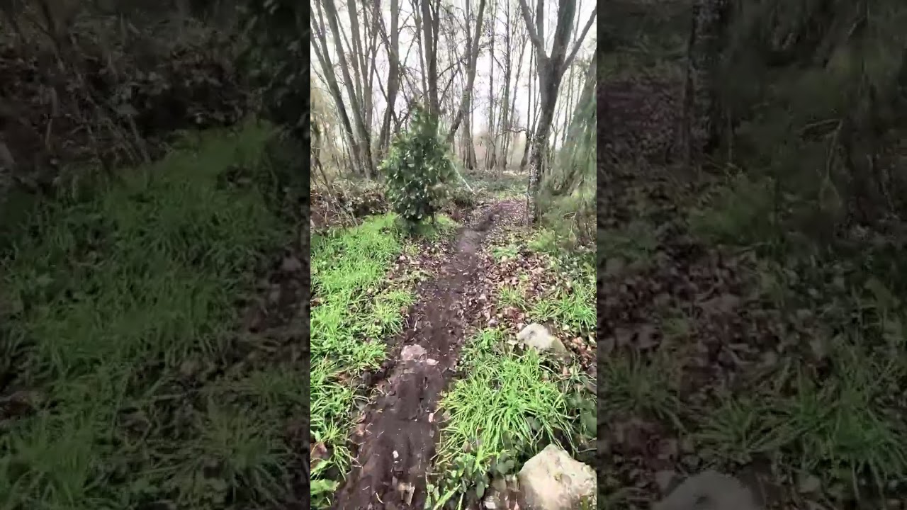 Provolt Recreation Site (Provolt, OR, Jan 2026)