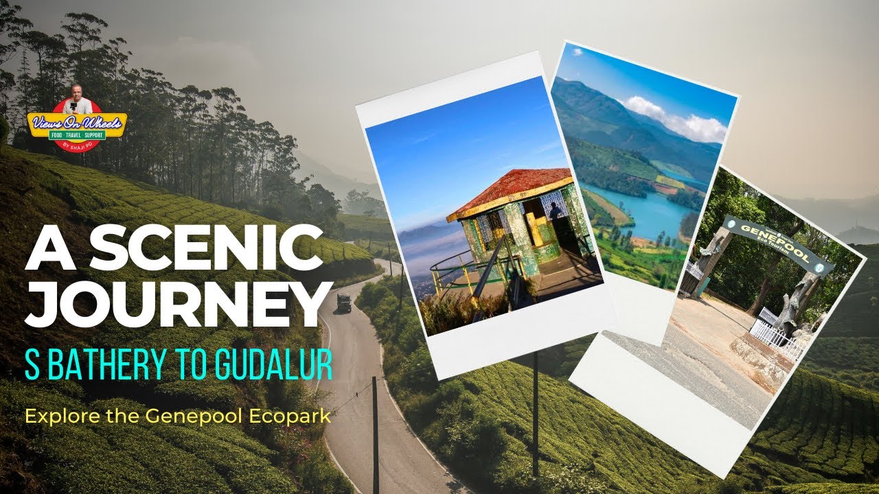 A Scenic Journey from Sultan Bathery Gudalur to Calicut | Genepool Eco park