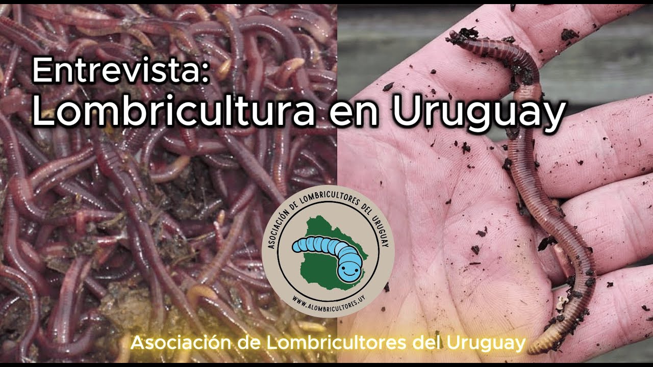 Lombricultura en Uruguay