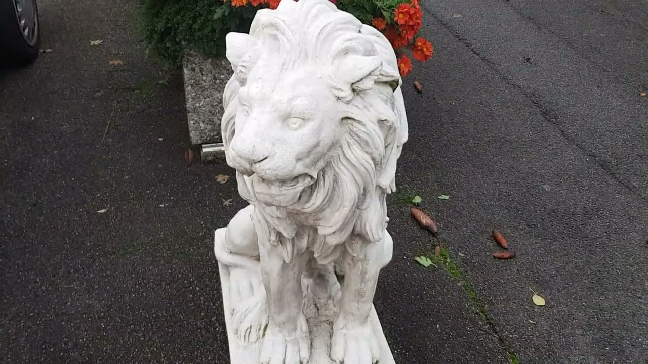 Le temps a changé, et oui c'est le PRINTEMPS  qui règne actuellement/ Ecublens-Swiss 🇨🇭🇨🇭🇨🇭