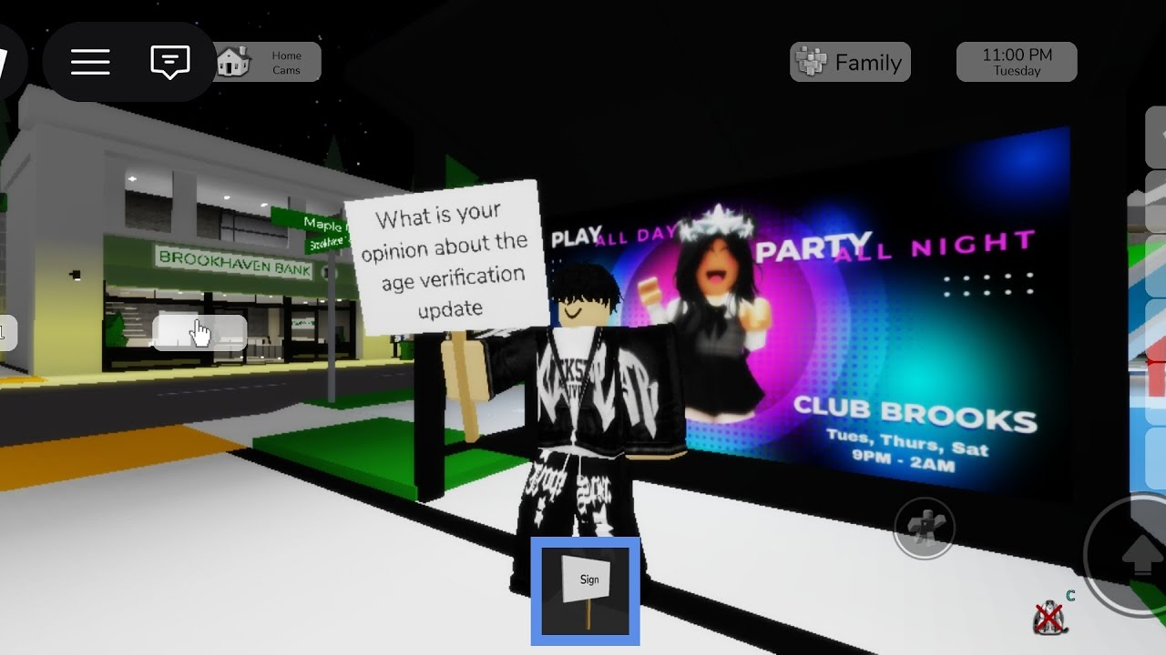 Interviewing random people in Brookhaven of the new Age verification update (WORST UPDATE)