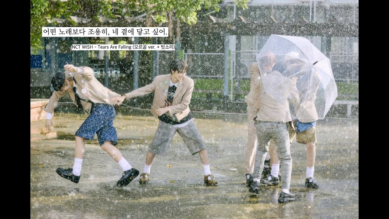어떤 노래보다 조용히, 네 곁에 닿고 싶어 | NCT WISH - Tears Are Falling (오르골 ver. + 빗소리)
