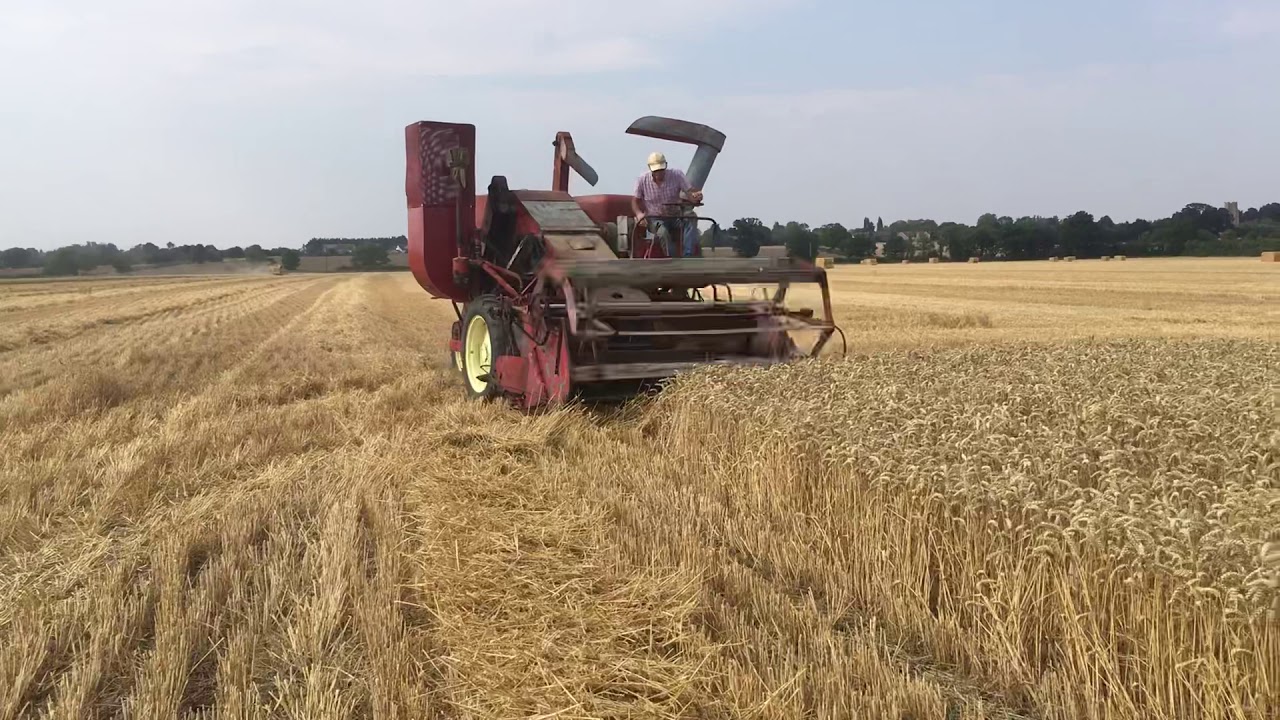 Massey Harris 726, Harvest 2020