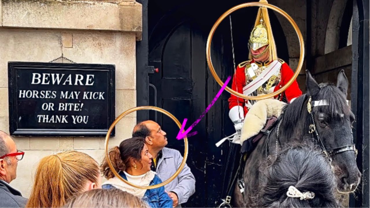 Don’t hold the reins of royal king’s guard’s horse!