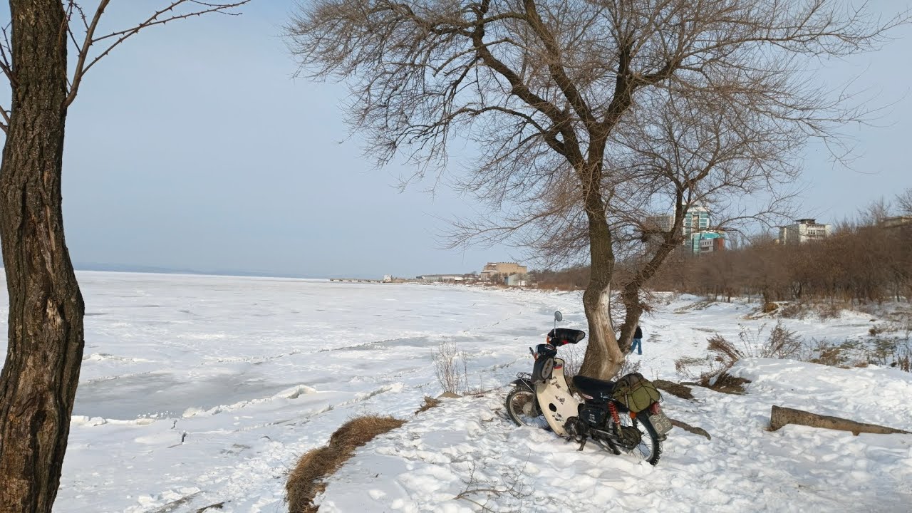 Ноябрь - Январь. ❤️ Honda Super Cub