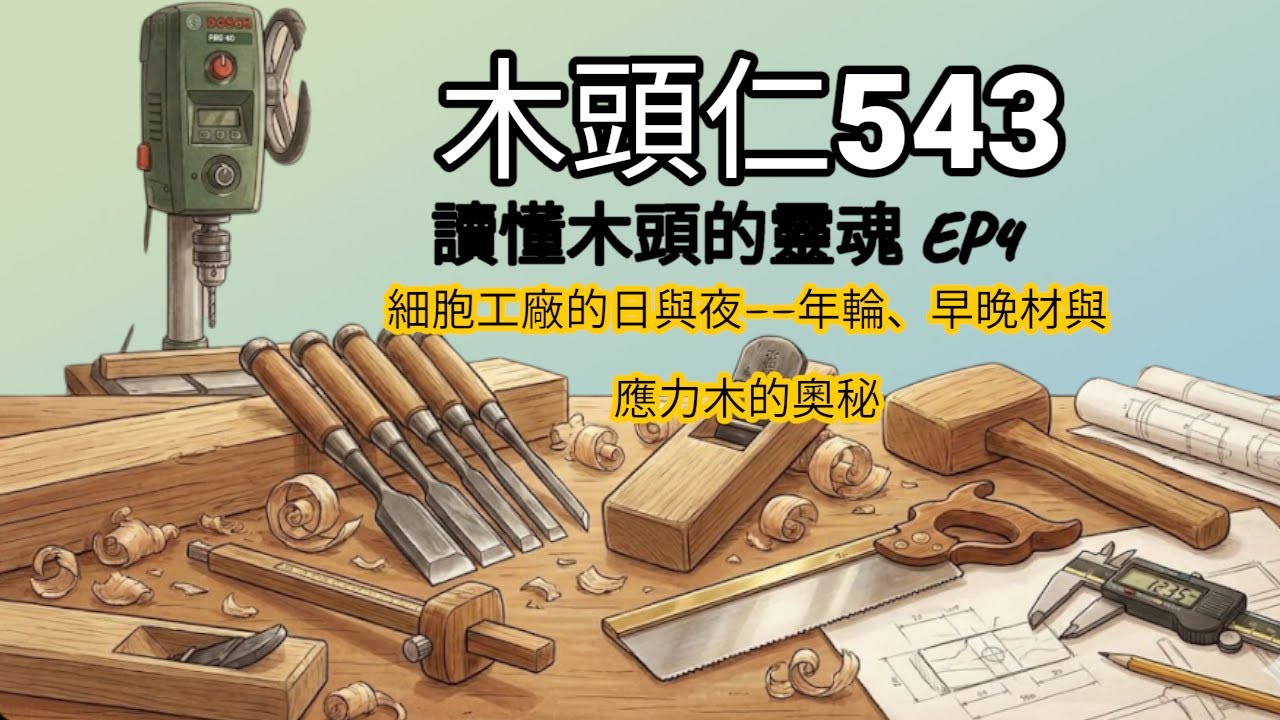 [木頭仁543] 早材 vs. 晚材：軟硬的節奏 解決「起毛」與「燒焦」的真相 | 木工教學