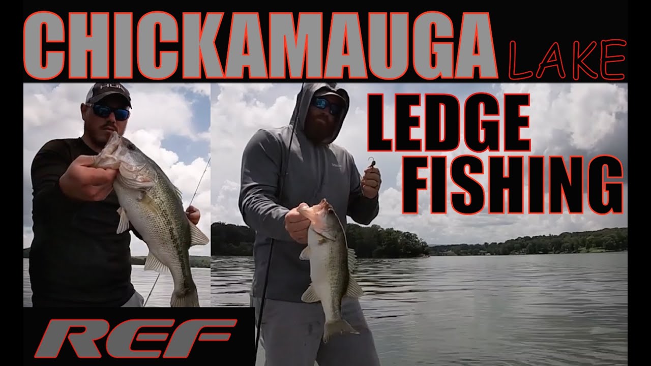 CHICKAMAUGA LAKE: Summer Ledge Fishing for Schools of Largemouth Bass