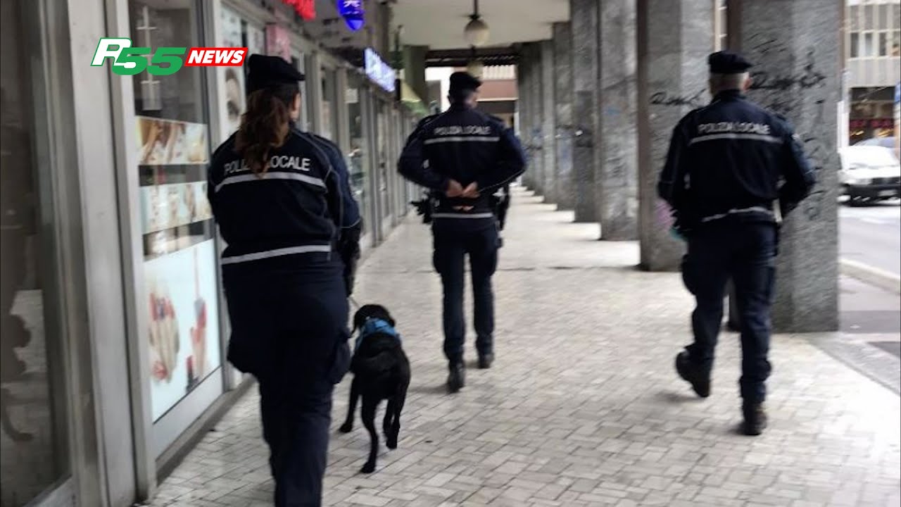 Gallarate - Pattugliamenti straordinari anche a quattro zampe