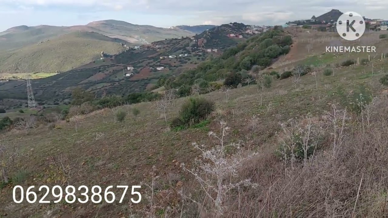 قطعة أرضية للبيع مساحتها هكتار و 200م لتواصل معي رقم الهاتف و الواتساب 0629838675