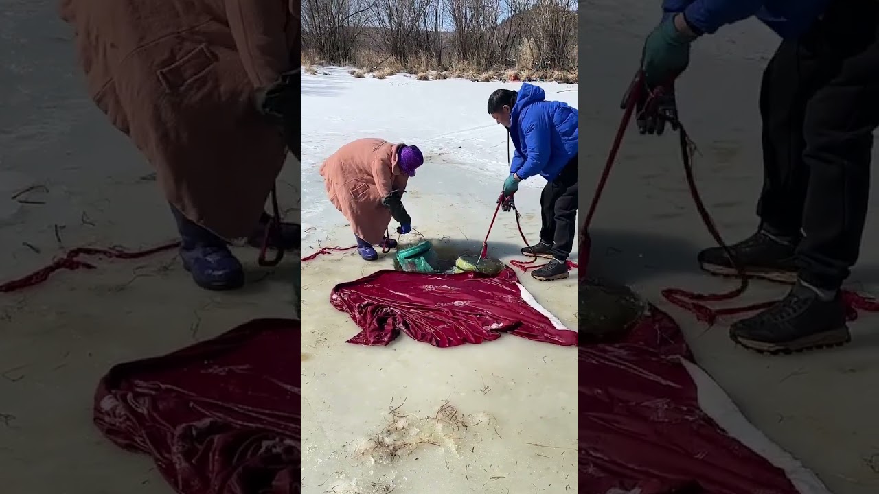 Epic Ice Fishing Catch! Pulling Massive Fish & Eels Through Frozen Lake 🎣❄️ #IceFishing #Shorts