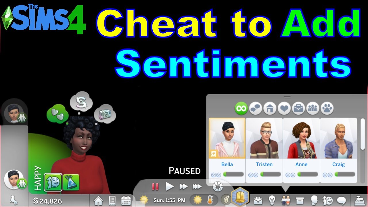 How to Cheat to Add and Remove Sentiments