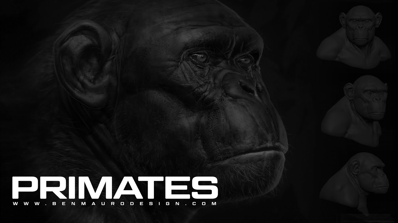 Ben Mauro - Sculpting Primates in ZBrush