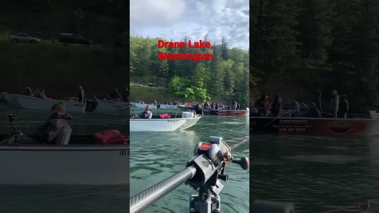 Drano Lake Spring Salmon, The Salmon Bowl