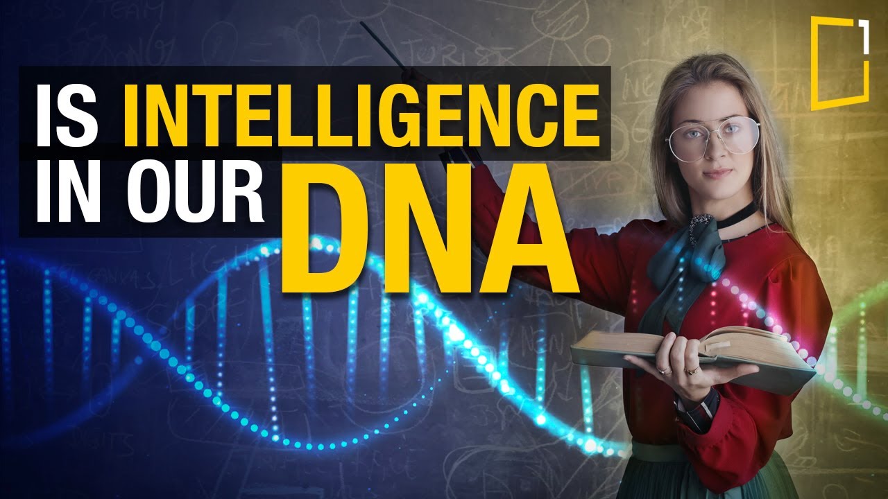 How Your Genetics Shape Creativity and Intelligence