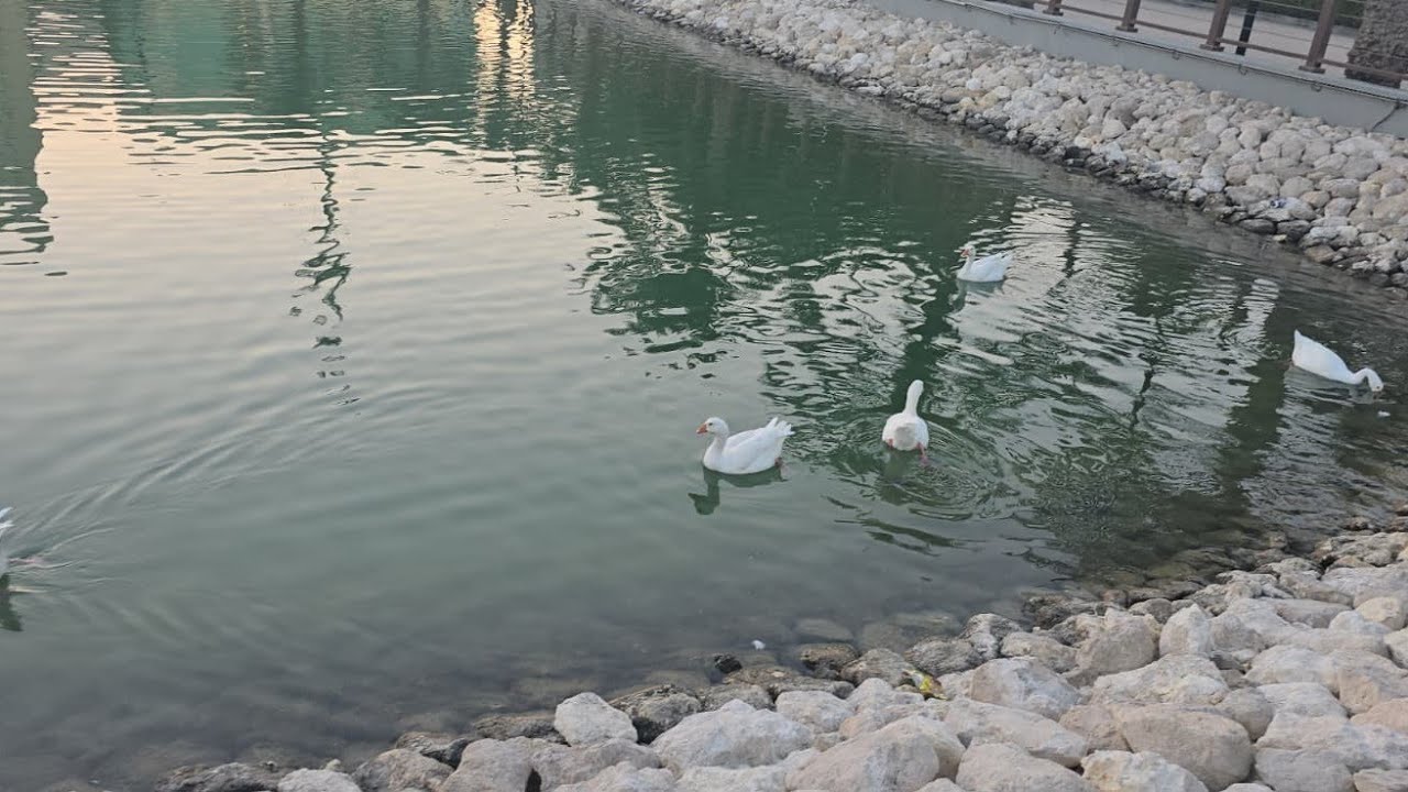 Bahrain water garden @ Vivid Vision 