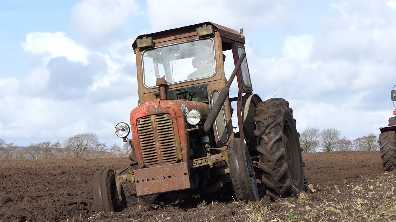 Massey Ferguson 35 - 3. cyl Perkins Diesel in the field ploughing w/ 2-furrow Plough | DK Agri
