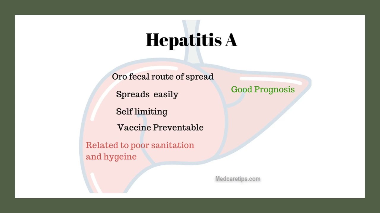 Hepatitis A in children Frequent asked Questions
