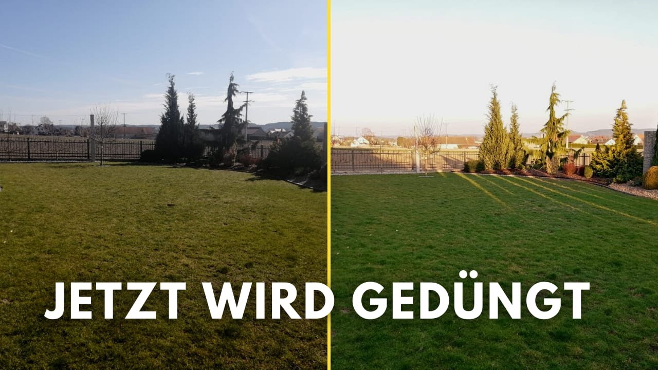 Rasenpflege im Frühjahr, düngen - NICHT vertikutieren