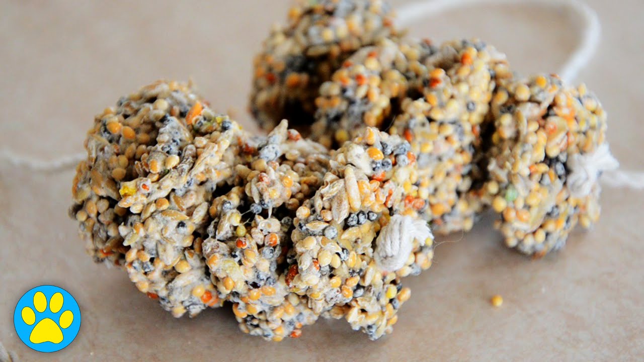 Easy Peasy Seedy Treat For Hamsters!