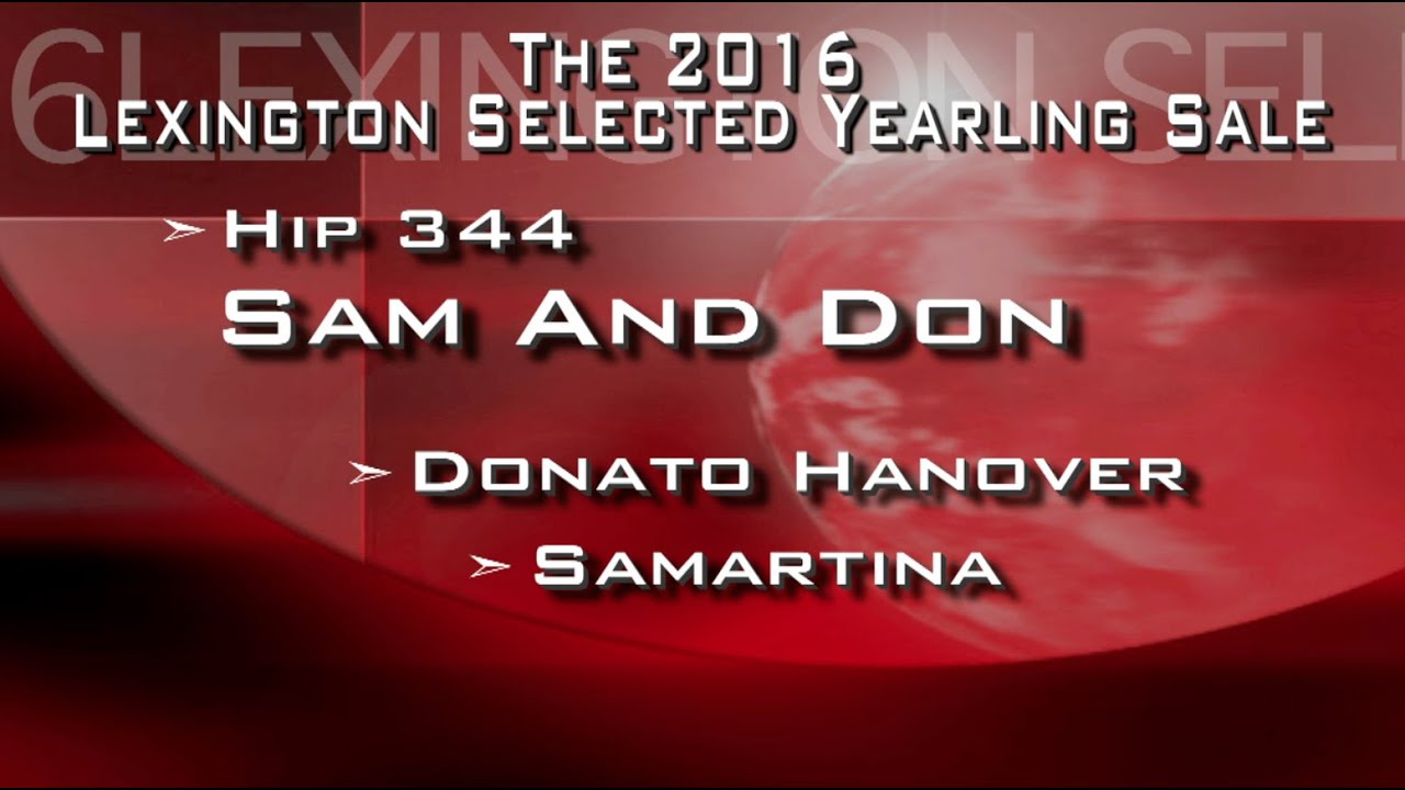 H344 Sam And Don Glengate 2016Lex