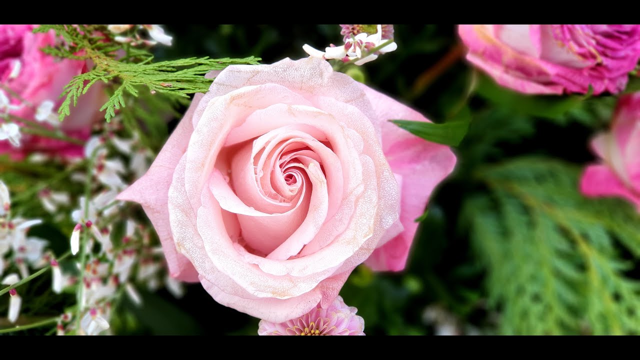 Blumen am Grab