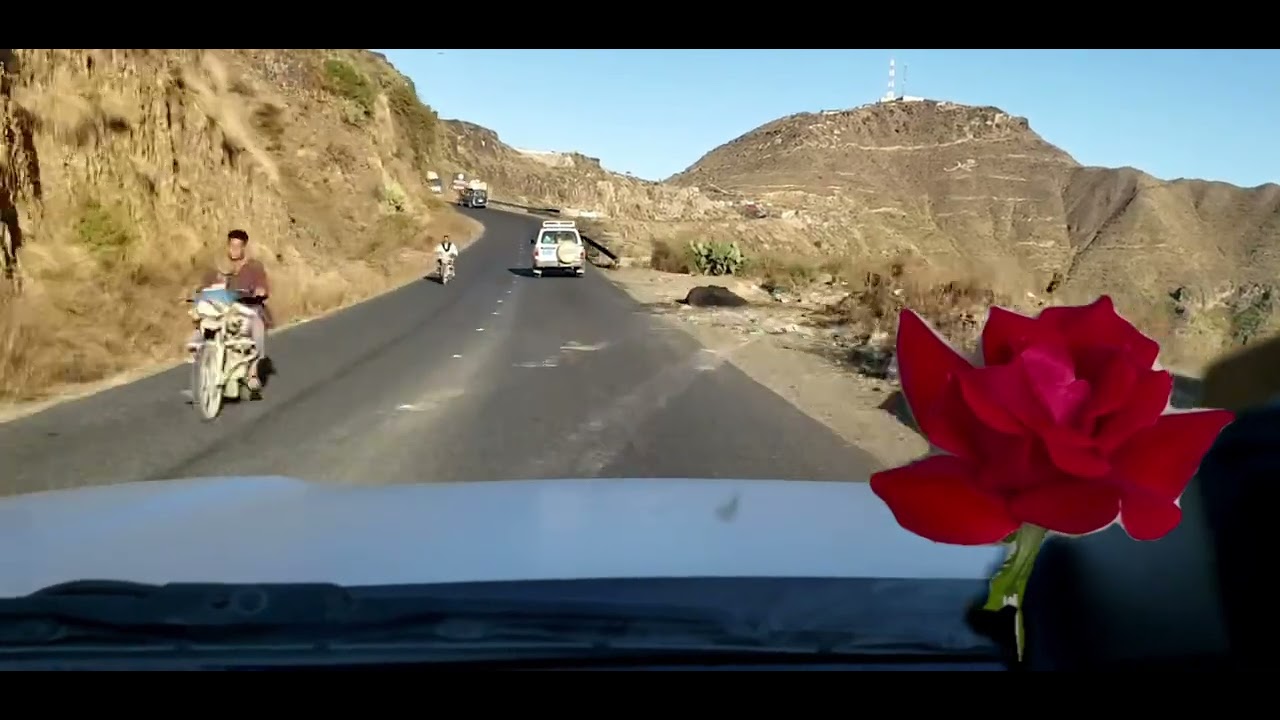 حياتي له يقول القيل قيله🌹New York اليمن الولايات المتحدة الأمريكية 