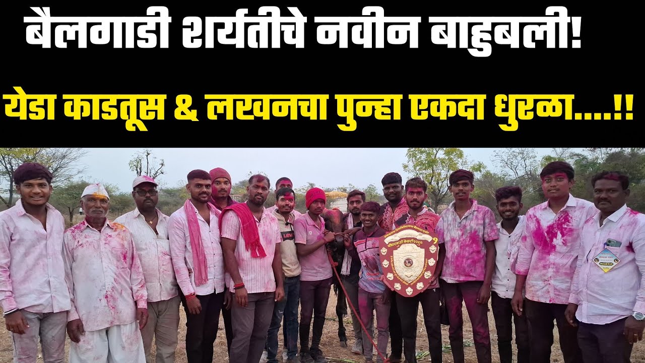 कोण आहे हा येडा काडतूस..... पुन्हा एकदा एक नंबरचा मानकरी...