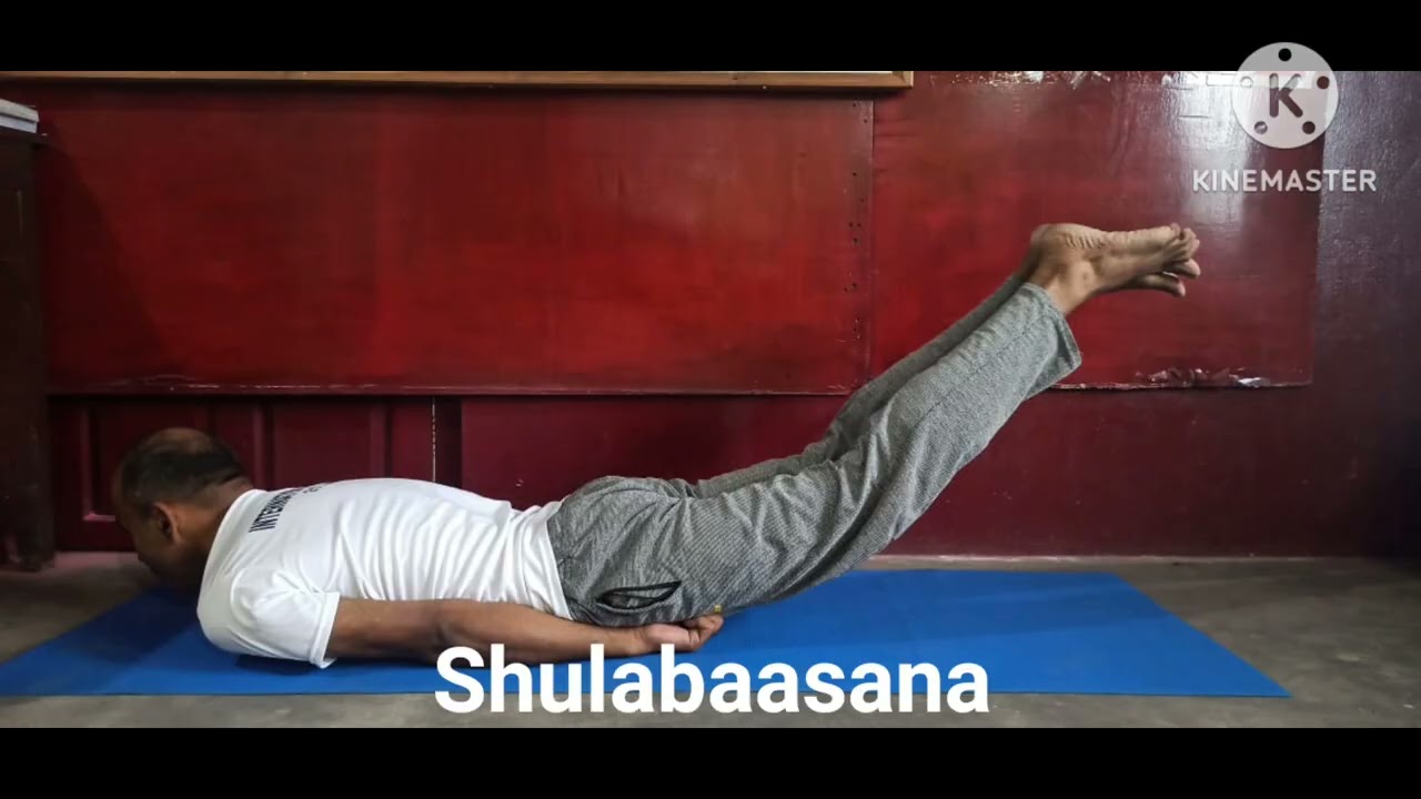 INTERNATIONAL YOGA DAY 2025