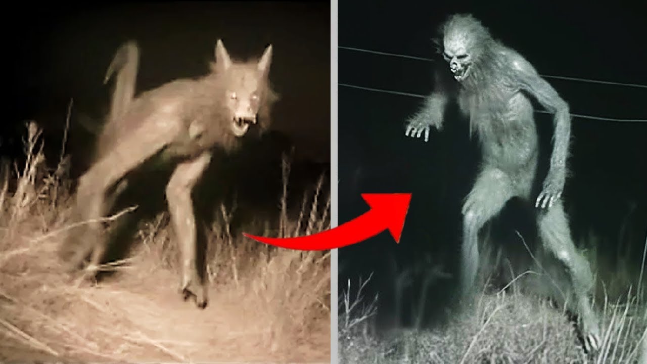 10 Nahuales & Skinwalkers Reales Captados En C&aacute;mara