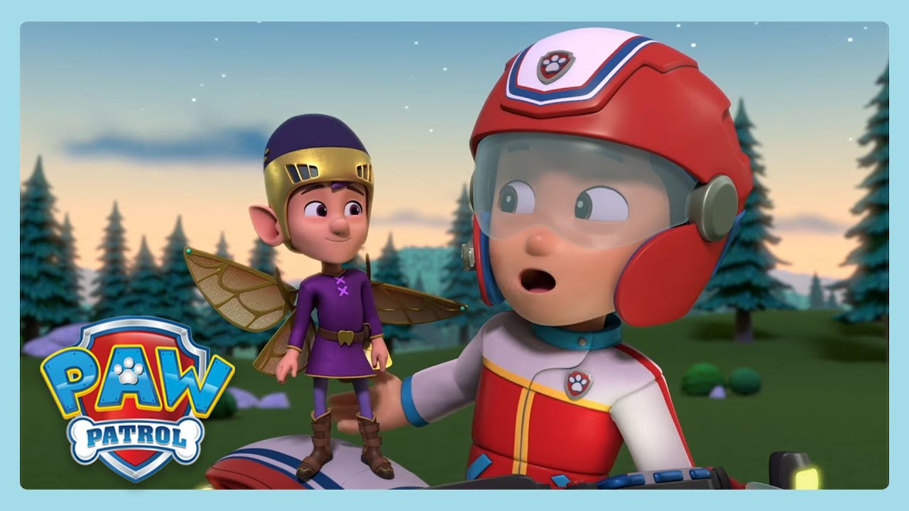 Broken Wings | Paw Patrol | Wildbrain Little Jobs