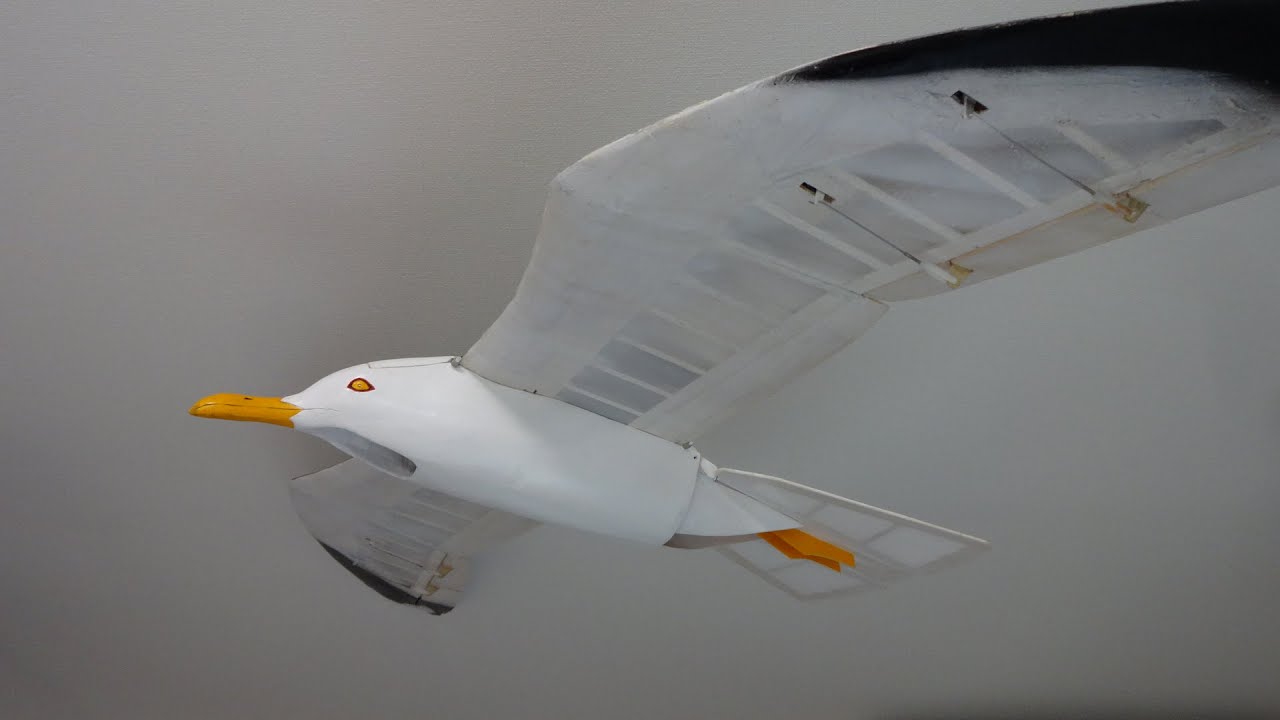 垂直尾翼が無い鳥型機　ガル翼　電動ダクテッドファンによる GULL の初飛行
