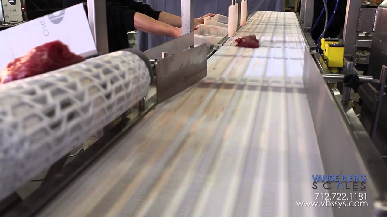 Checkweigher Scale System To Sort Over & Under Weight Product