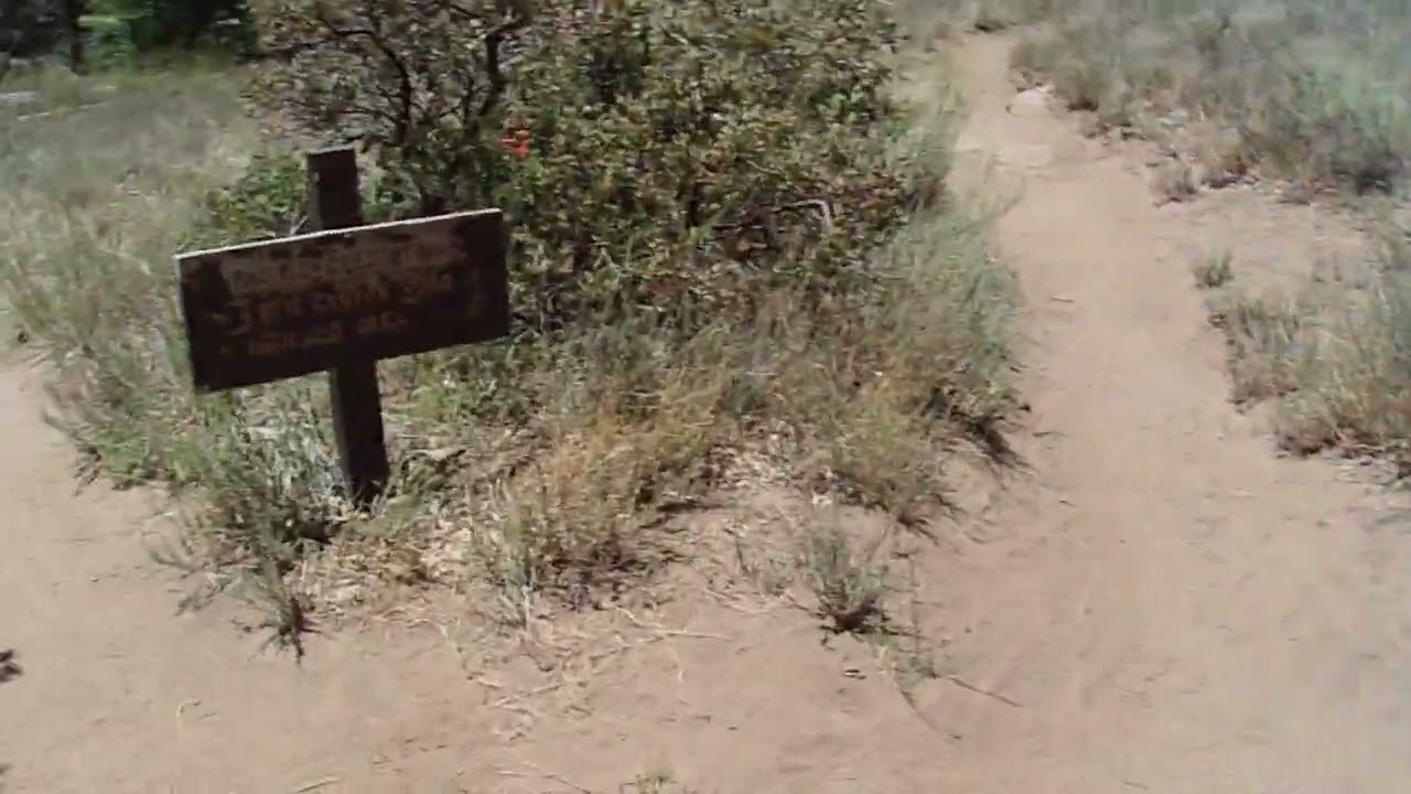 7/5/22: Cleveland National Forest- Thing Valley Road-/PCT- Mt. Laguna Pt. 3/5