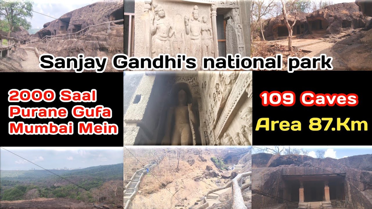 Sanjay Gandhi National Park Mumbai | Kanheri Gufa Borivali ☺️🌿