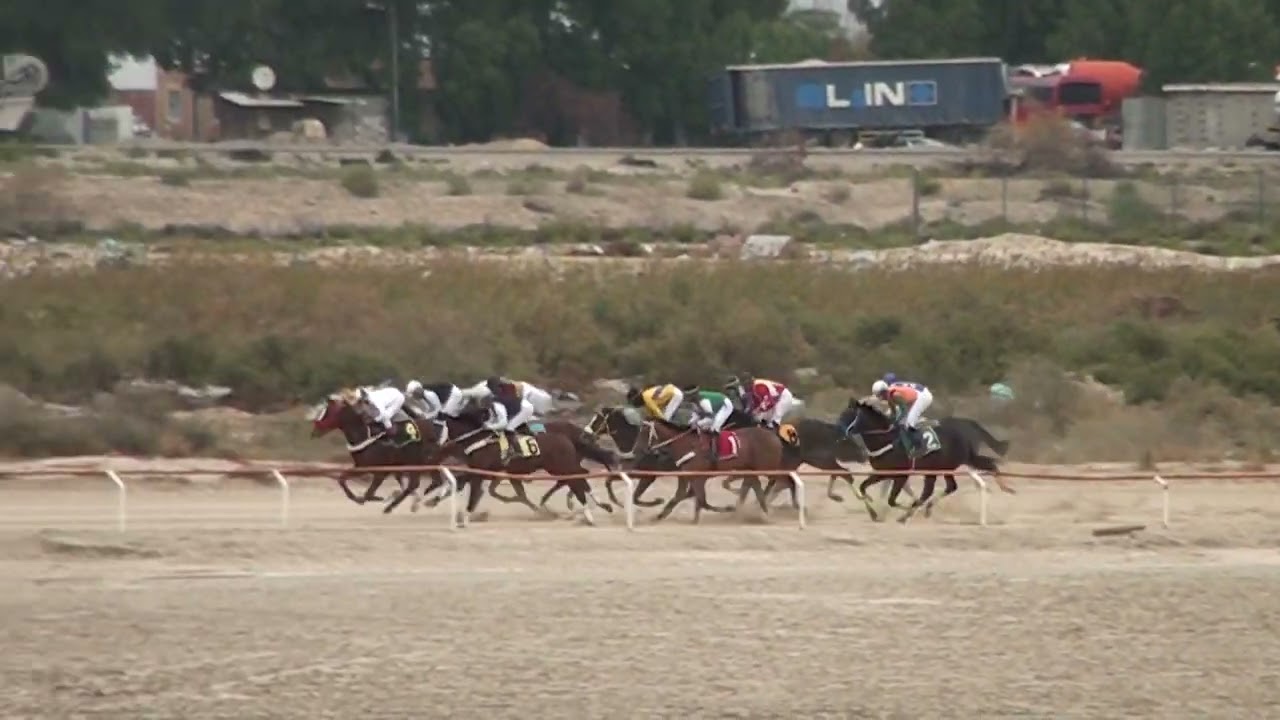 الشوط الاول من 0الى 3 فوز انتاج محلي الحفل الحادي عشر موسم سباقات 2022-2023
