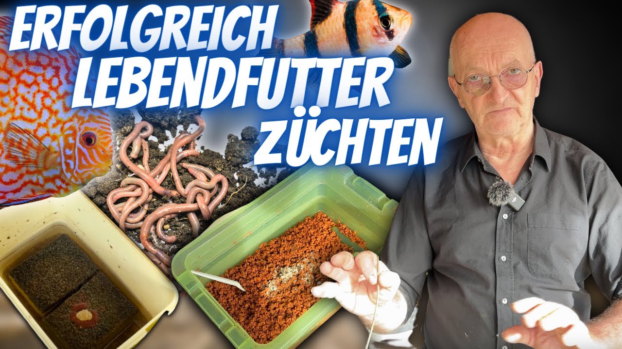 Wertvolle Tipps zur erfolgreichen Lebendfutter Zucht für eure Fische I Fred Rosenau