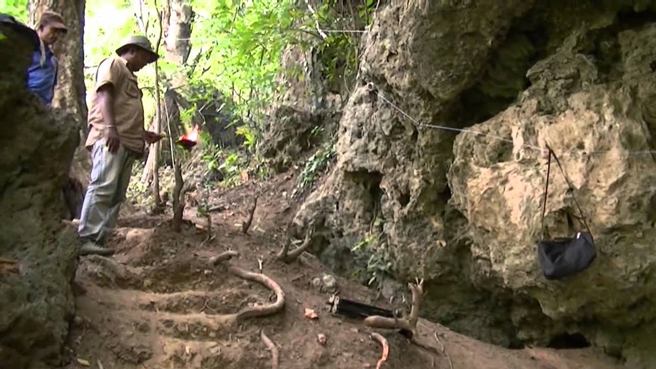 Prof.Raj Somadeva at Walmethalawa, BalangodaMAN