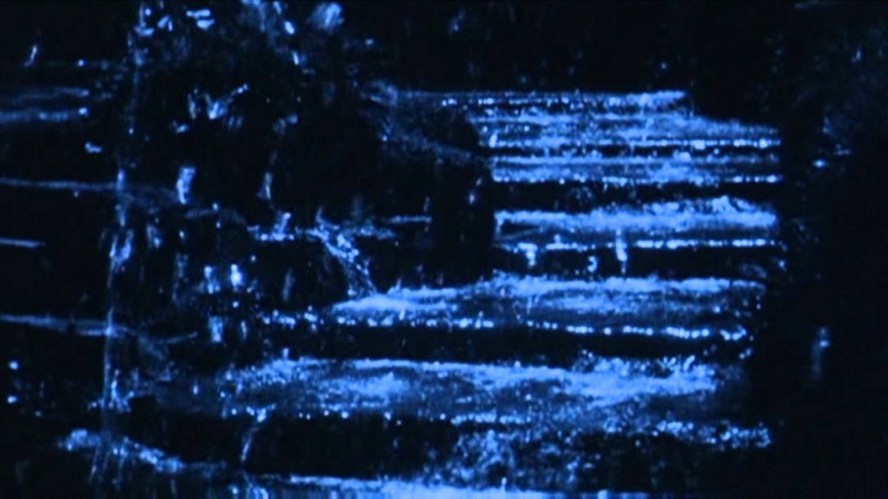The Holydrug Couple - Glowing Summer