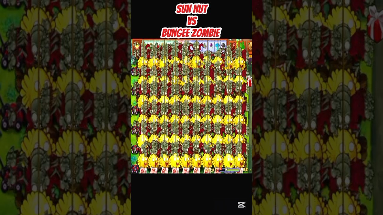 *SUN NUT VS BUNGEE ZOMBIE*