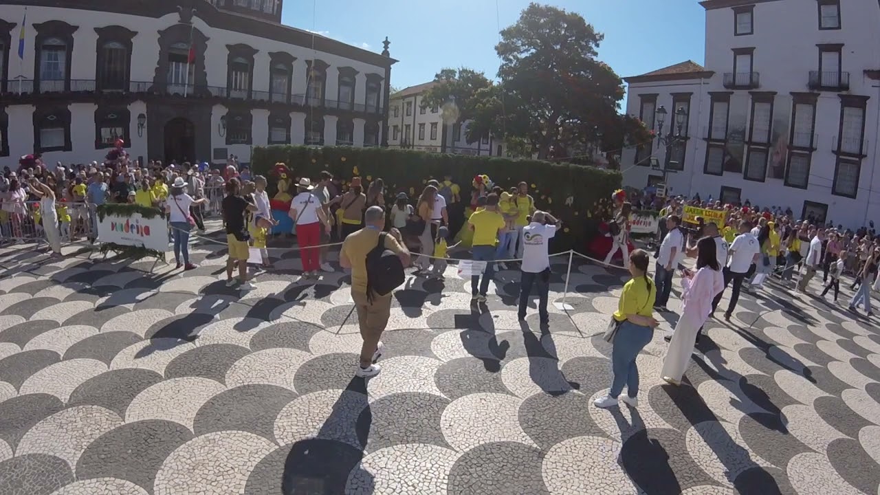 FESTA da FLOR   na  MADEIRA   2024    Muro da Esperan&ccedil;a  PRO 4