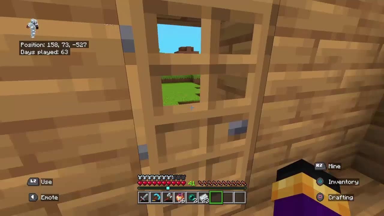 Minecraft live stream