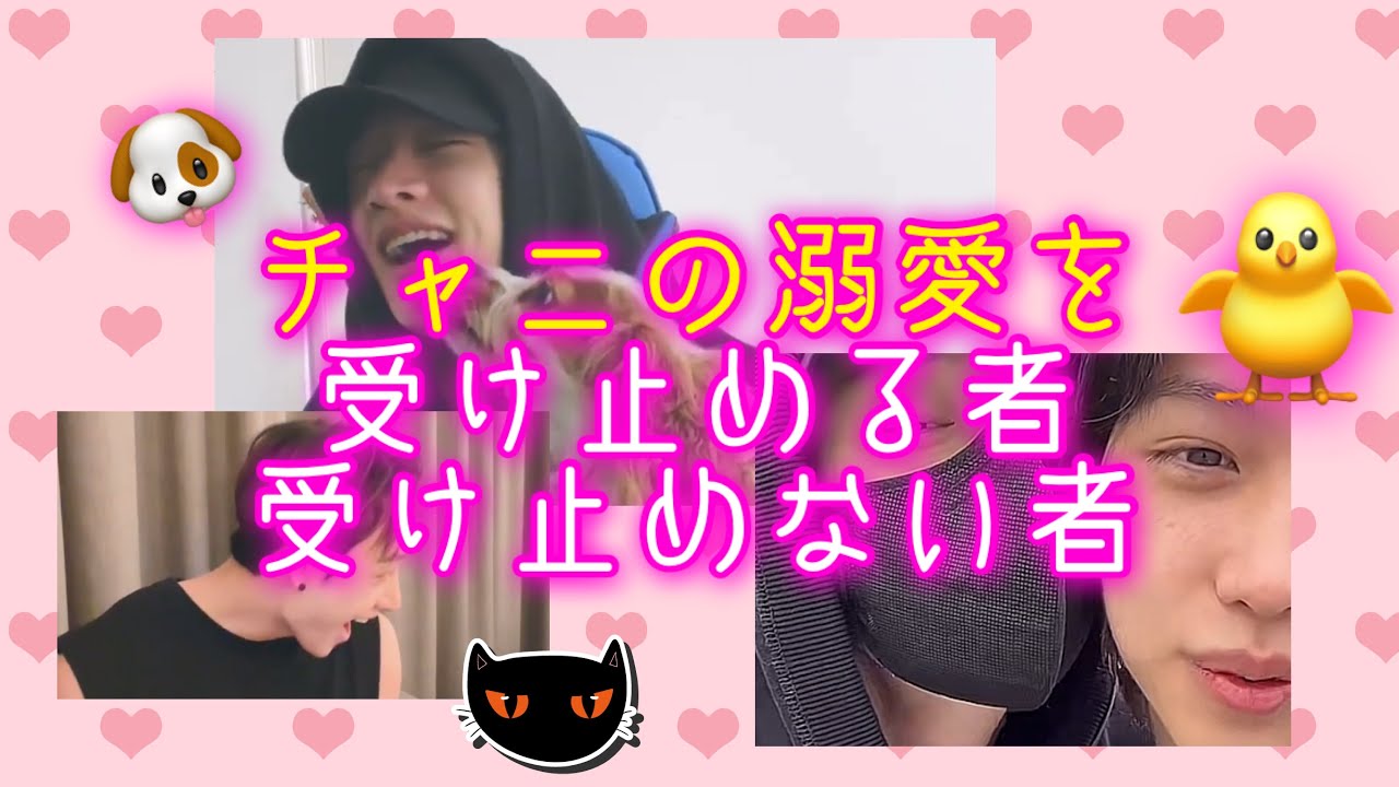 チャニの愛を受け止める者受け止めない者【スキズ/Stray Kids】