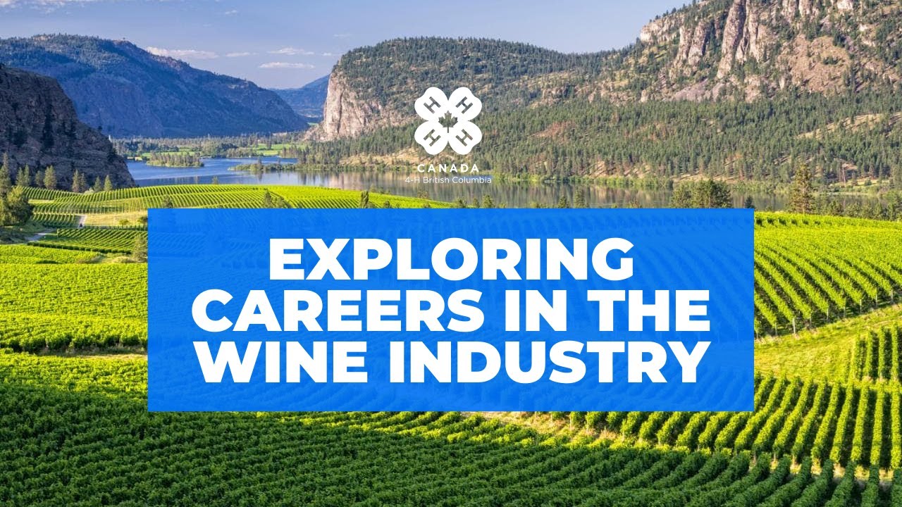 Exploring Careers in the Wine Industry