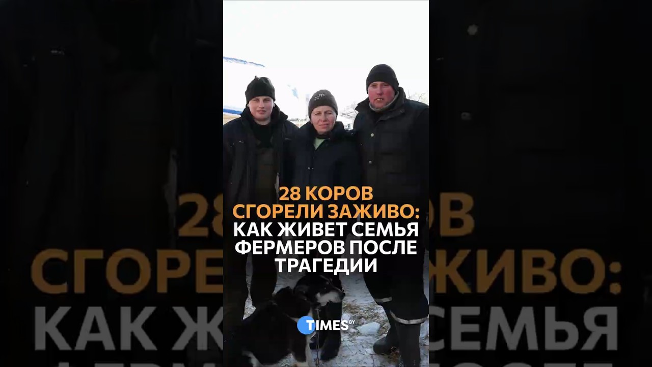 Коровы горели заживо! Как живет семья фермеров после трагедии #пожар #ферма #трагедия #беларусь