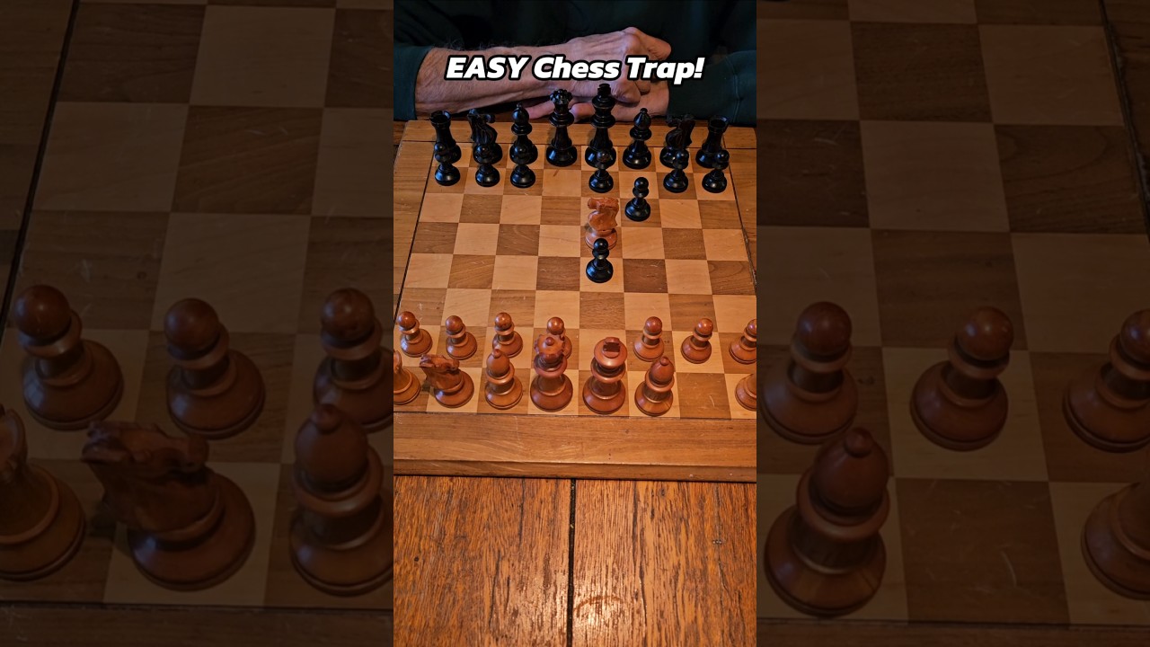 Learn This EASY Chess Trap #chess #chesstraps #chessopening #chesstutorial #chesstricks