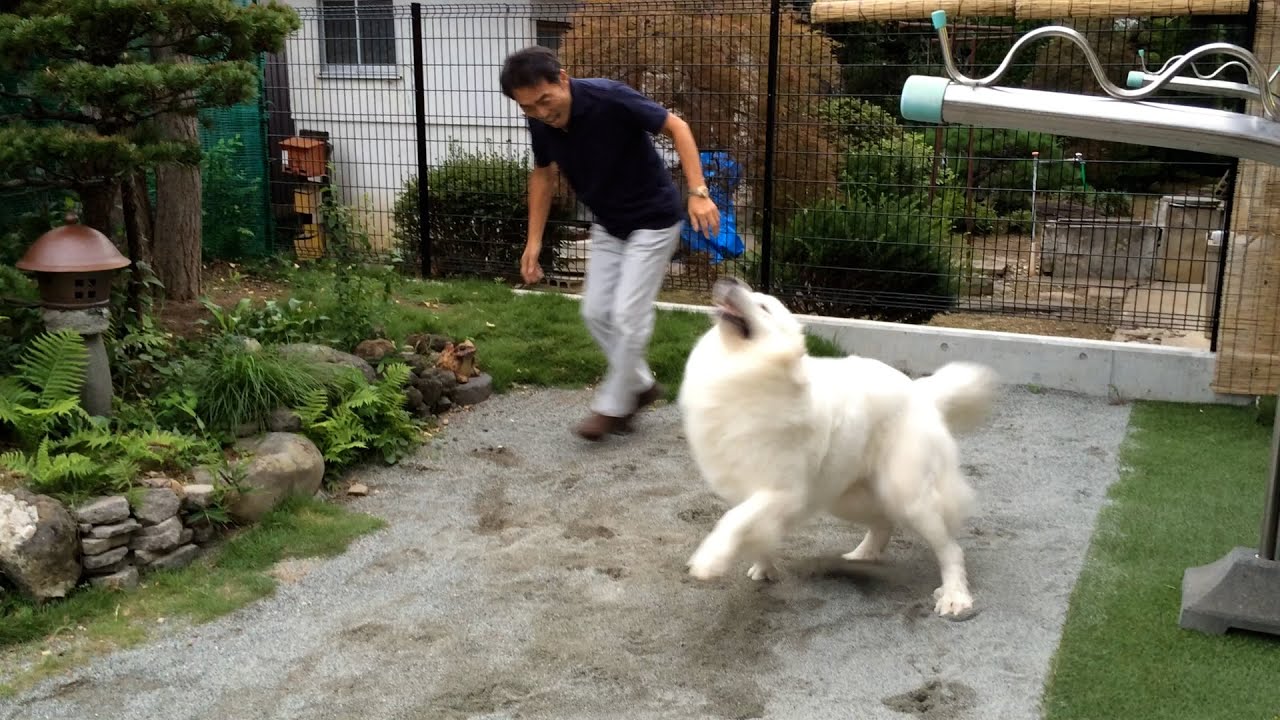 【ルンルンの裏庭】2014年の荒ぶるルンルン