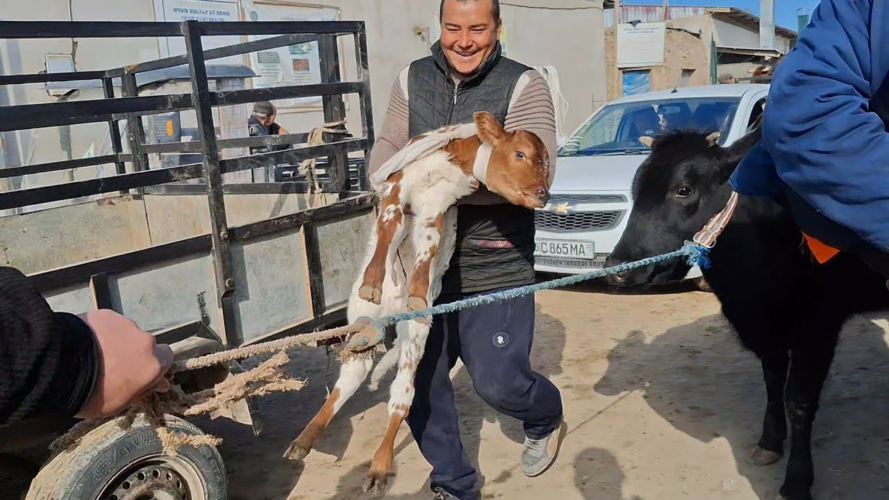 19-МАРТ МАНГИТ ДАРВОЗА ОЛДИ ҚАЙТГАН СОТИЛГАН МОЛЛАР 