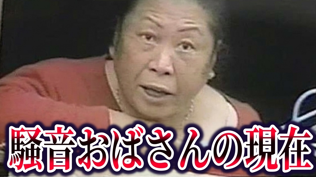 【ゆっくり解説】9割が知らない騒音おばさん事件の真相
