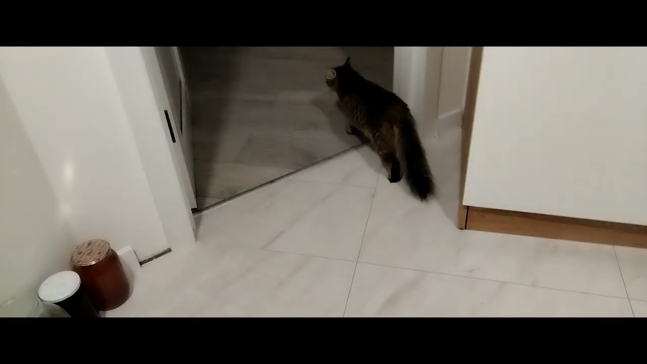 11 января 2026 г.