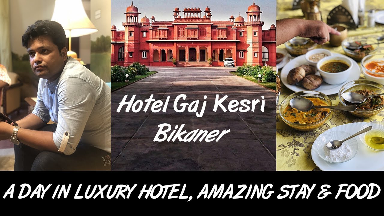 A Day In Luxury Hotel || Amazing Stay & Food || Royal Food || Bikaner Travel || Part 03